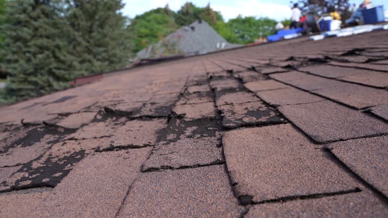 Best Asphalt Shingles Roofing  in Adwolf, VA